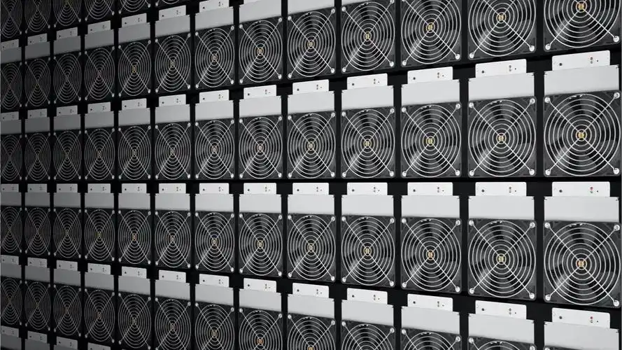 A large-scale mining farm showcasing rows of high-performance mining machines