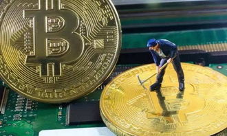 Choosing the right mining rig supplier