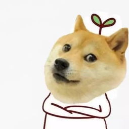 Community-led Bitcoin and Dogecoin mining initiative